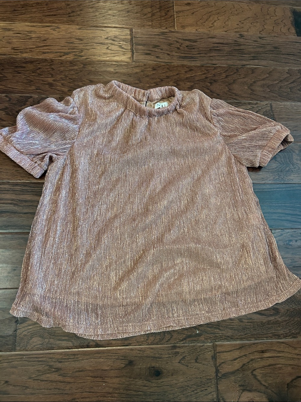 THML Metallic Rose Short Sleeve Sheer Top